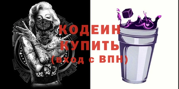молекула духа Коряжма