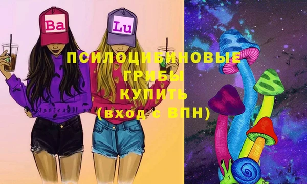 сатива Костерёво