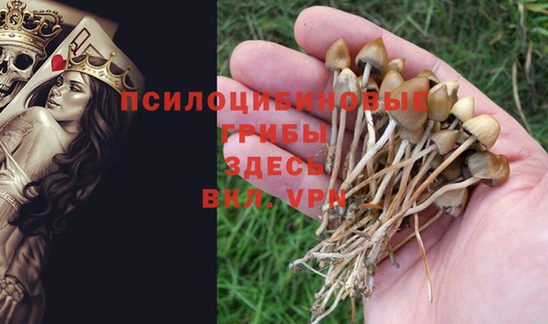 2c-b Корсаков