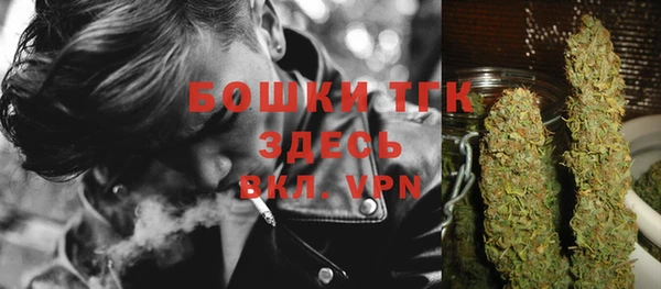 молекула духа Коряжма