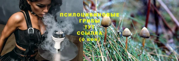 молекула духа Коряжма