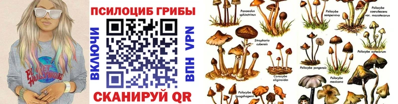 Галлюциногенные грибы прущие грибы  Волгоград 