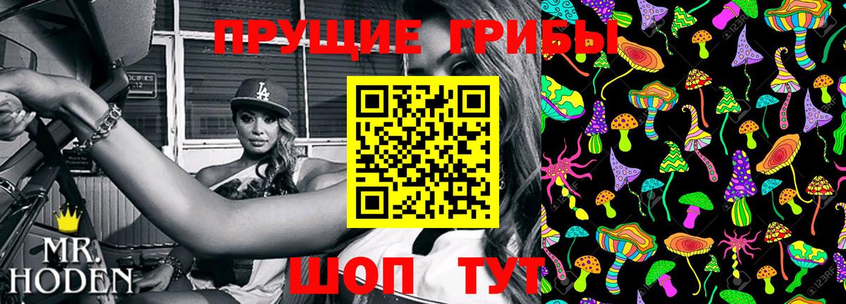 Псилоцибиновые грибы Psilocybe  Псилоцибиновые грибы мицелий  хочу наркоту  Волгоград  Вход с VPN 